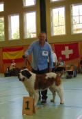 125 Jahre St. Bernhards - Klub e.V.   Jubiläumsschau  und Klubsiegerschau 2016 Unsere Blanche d`Etoile vom Pappelgrund    Veteranenklasse