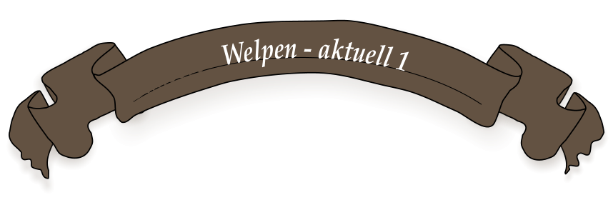 Bunsere   Welpen - aktuell 1